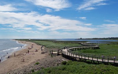 Bouctouche Dunes